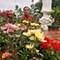 Lương văn hoà